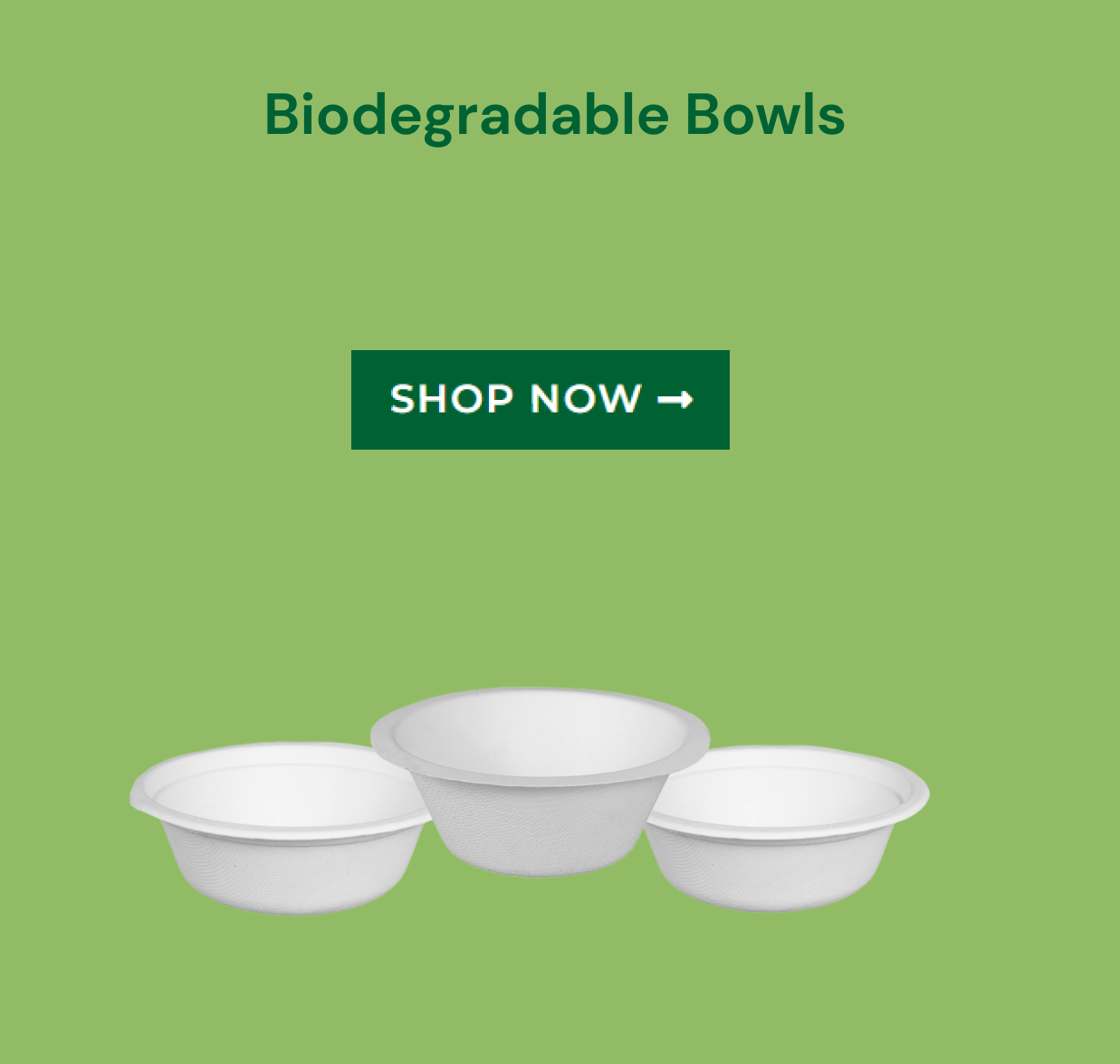 bio bowls poster (1)